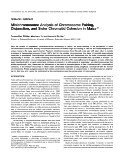 Minichromosome Analysis of Chromosome Pairing