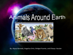 By: Alyssa Barreda, Angelica Ortiz, Bridget Puente, and Eliseya