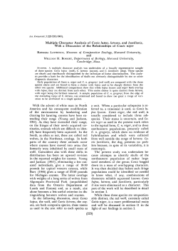 Multiple Character Analysis of Canis lupus, latrans, and familiaris