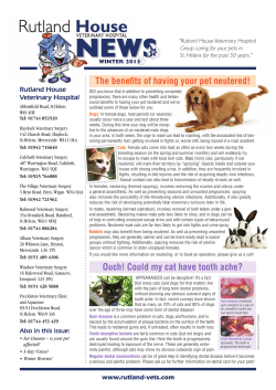Ouch! Could my cat have tooth ache? The benefits of having your