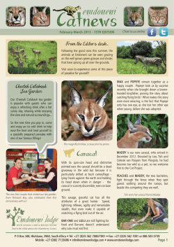 February 2013 - Emdoneni Lodge