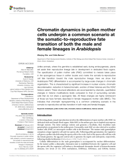 Chromatin dynamics in pollen mother cells underpin a common