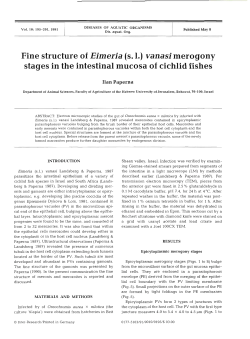 Full text in pdf format