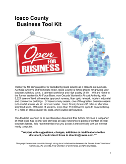 Iosco County Business Tool Kit