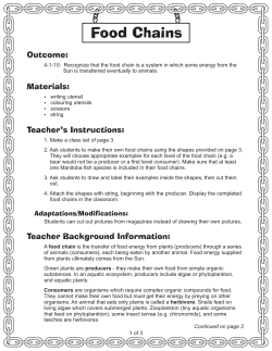 Food Chains