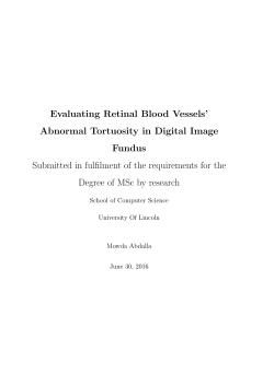 Evaluating Retinal Blood Vessels` Abnormal Tortuosity in Digital