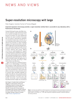 Super-resolution microscopy writ large