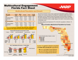 Multicultural Engagement Florida Fact Sheet