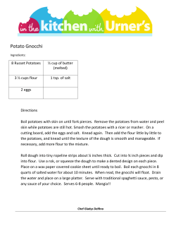 Potato Gnocchi - Paulsen Appliance