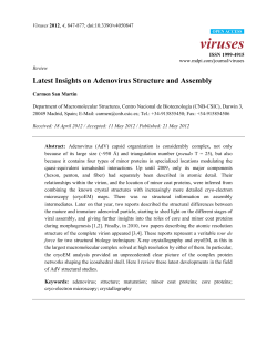 Latest Insights on Adenovirus Structure and Assembly