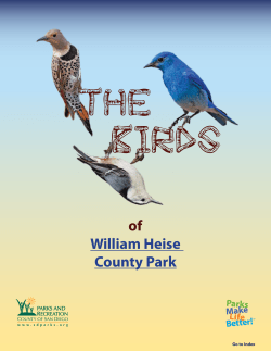 The Birds - SDparks.org