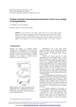 Collaps of protein macromolecule induced by a force as an analog