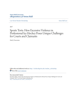 Sports Torts: How Excessive Violence in Professional Ice Hockey
