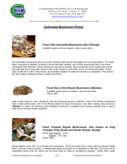 Cultivated Mushroom Primer