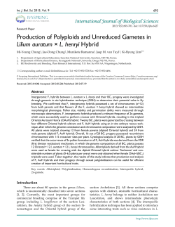 Production of Polyploids and Unreduced Gametes in Lilium auratum