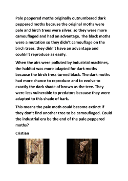 Pale peppered moths originally outnumbered dark peppered moths