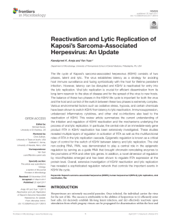 Reactivation and Lytic Replication of Kaposi`s Sarcoma