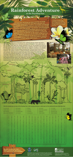 Rainforest Adventure - Washington State Fair