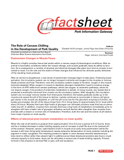 The Role of Carcass Chilling in the Development of Pork Quality
