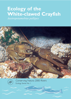 Ecology of the White-Clawed Crayfish