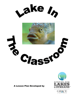 A Lesson Plan Developed by