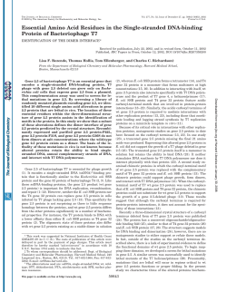 Essential Amino Acid Residues in the Single-stranded DNA
