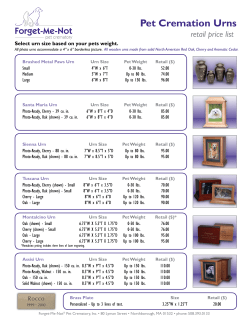 Pet Cremation Urns - Forget-Me