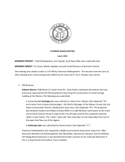 MEMBERS PRESENT: Todd DeWispelaere, Ann Hayslip, Scott Neal