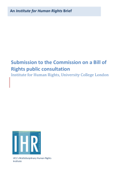 Submission to the Commission on a Bill of Rights public