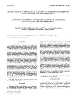 physiological and morphological adaptations in tomato intercropped