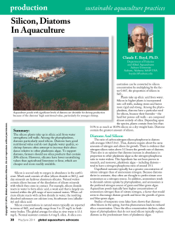 Silicon, Diatoms In Aquaculture