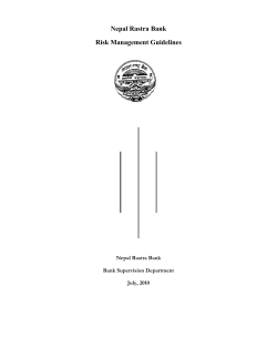 Risk Management Guidelines 2010