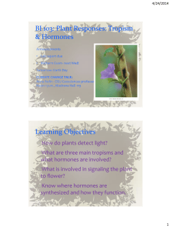 Lec 7: Tropism and Hormones
