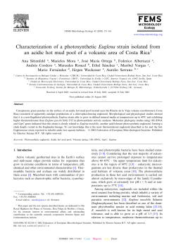 Characterization of a photosynthetic Euglena strain isolated from an