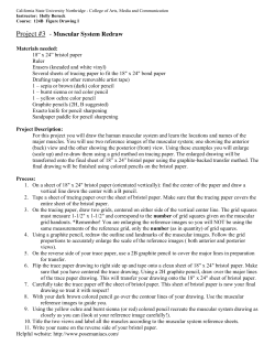 Project #3 - Muscular System Redraw