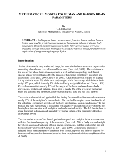 MATHEMATICAL MODELS FOR HUMAN AND BABOON BRAIN