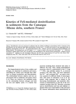 Kinetics of FeS-mediated denitrification in sediments from the