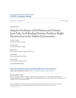 Adaptive Evolution of Eel Fluorescent Proteins from Fatty Acid