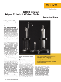 5901 Series Triple Point of Water Cells