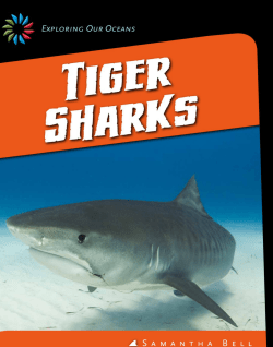 Tiger Sharks - bowlerschool.net