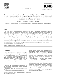 Porcine small intestinal submucosa (SIS): a bioscaffold