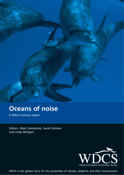 Oceans of noise - Whale and Dolphin Conservation