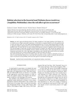 Habitat selection in the fossorial toad Pelobates fuscus insubricus