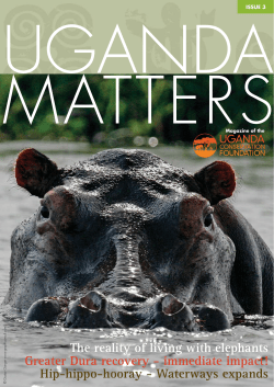 The reality of living with elephants Greater Dura recovery