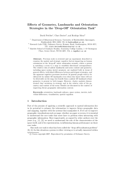 Effects of Geometry, Landmarks and Orientation Strategies in the