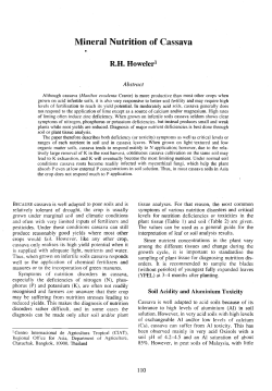 Mineral Nutrition of Cassava