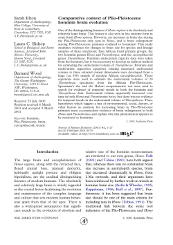Comparative context of Plio-Pleistocene hominin brain evolution