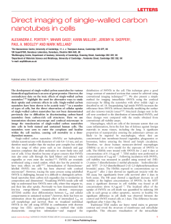 Direct imaging of single-walled carbon nanotubes in cells