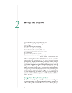 Revised Chapter 2 pages