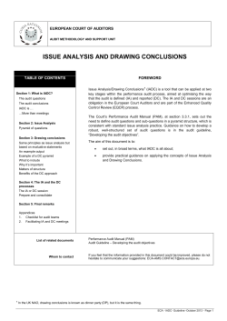 Guidelines on issue analysis and drawing conclusions